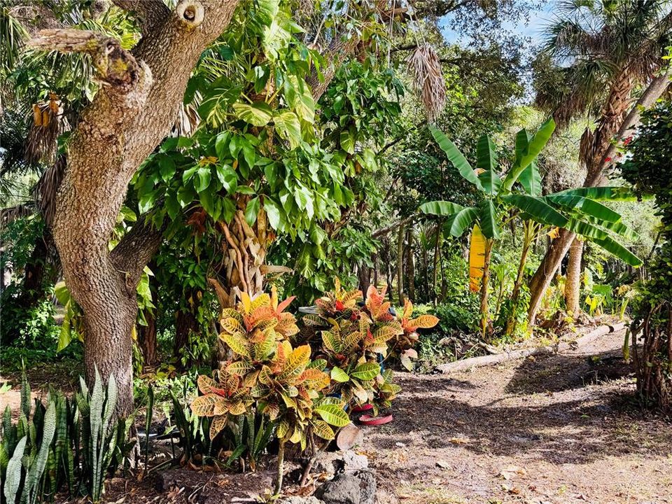 待售: $474,900 (2 贝兹, 2 浴室, 1717 平方英尺)