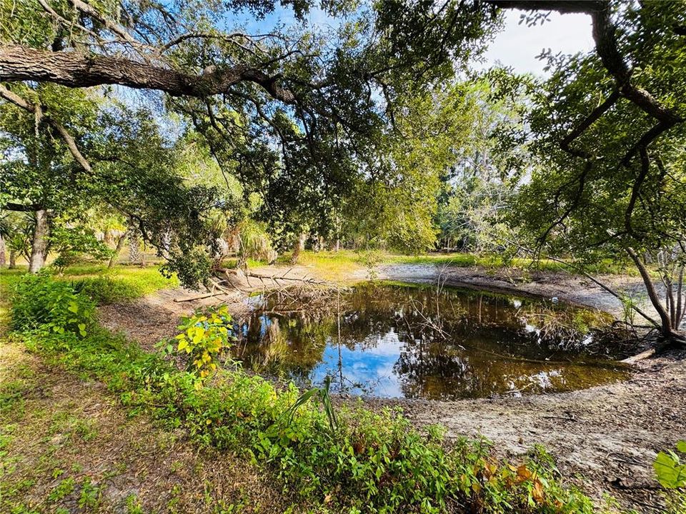 待售: $474,900 (2 贝兹, 2 浴室, 1717 平方英尺)