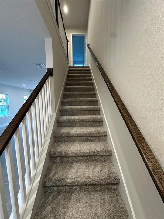 出租: $2,300 (3 贝兹, 2 浴室, 1674 平方英尺)