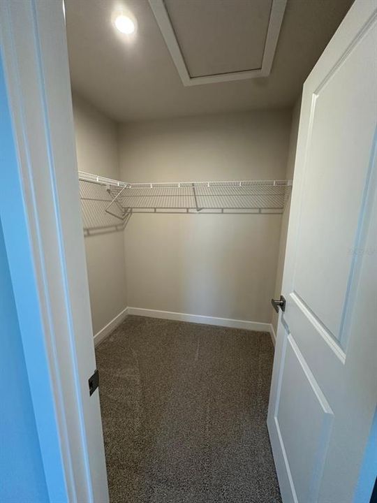 出租: $2,300 (3 贝兹, 2 浴室, 1674 平方英尺)