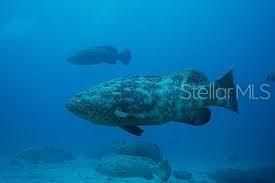 En Venta: $375,000 (2 camas, 1 baños, 865 Pies cuadrados)