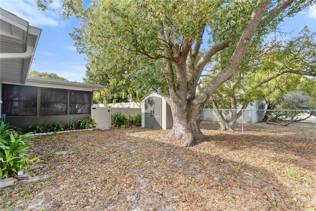 For Sale: $295,000 (3 beds, 2 baths, 1708 Square Feet)