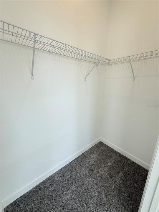 出租: $1,500 (1 贝兹, 1 浴室, 750 平方英尺)