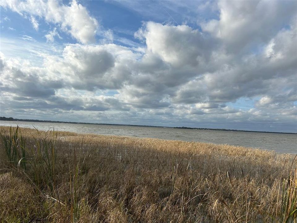 For Sale: $355,000 (0.38 acres)