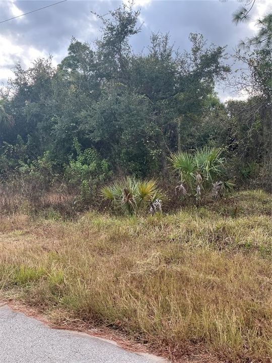 待售: $30,000 (0.24 acres)