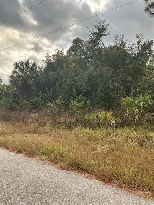 待售: $30,000 (0.24 acres)