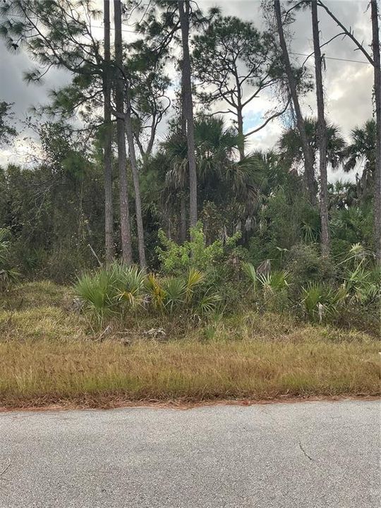 待售: $30,000 (0.24 acres)