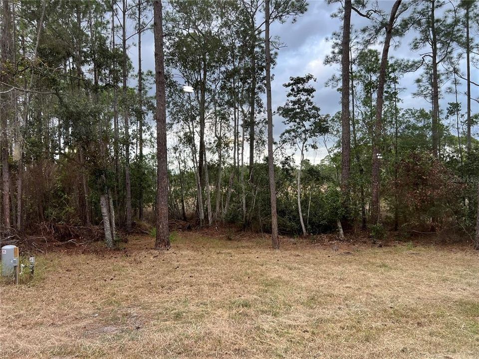 En Venta: $229,900 (3 camas, 2 baños, 1616 Pies cuadrados)