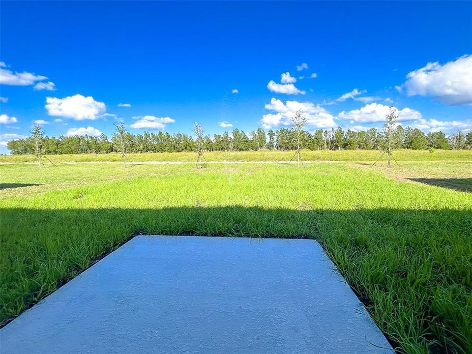 В аренду: $2,050 (3 спален, 2 ванн, 1560 Квадратных фут)