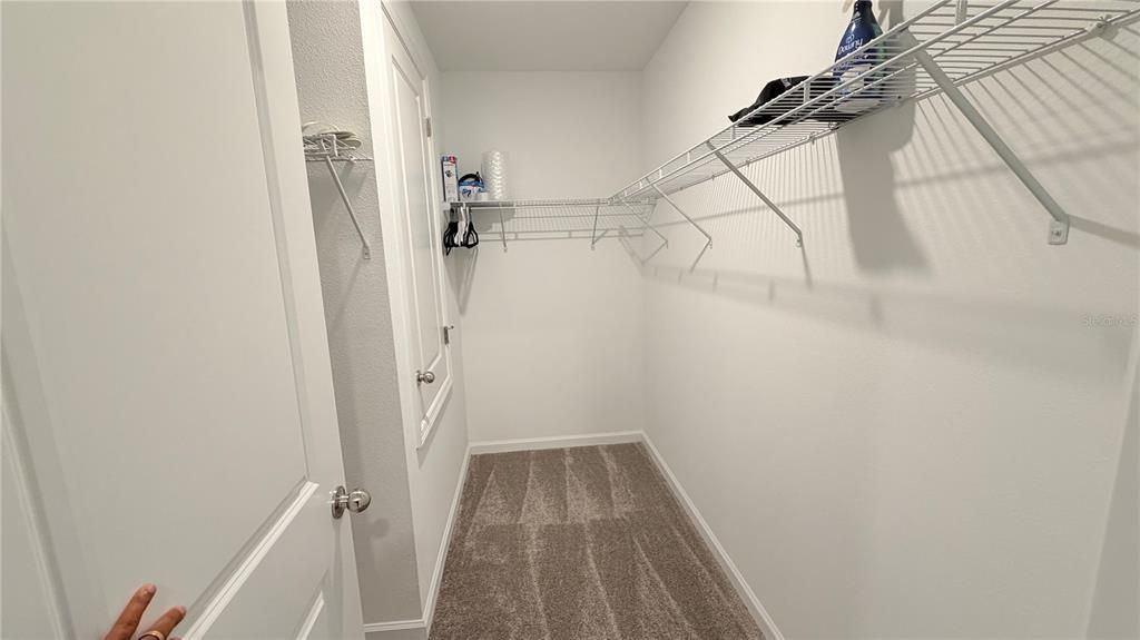 出租: $2,600 (3 贝兹, 2 浴室, 1260 平方英尺)