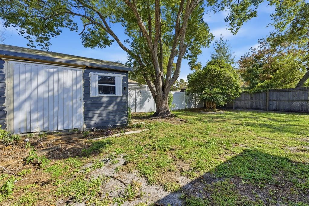 待售: $285,000 (3 贝兹, 2 浴室, 1564 平方英尺)