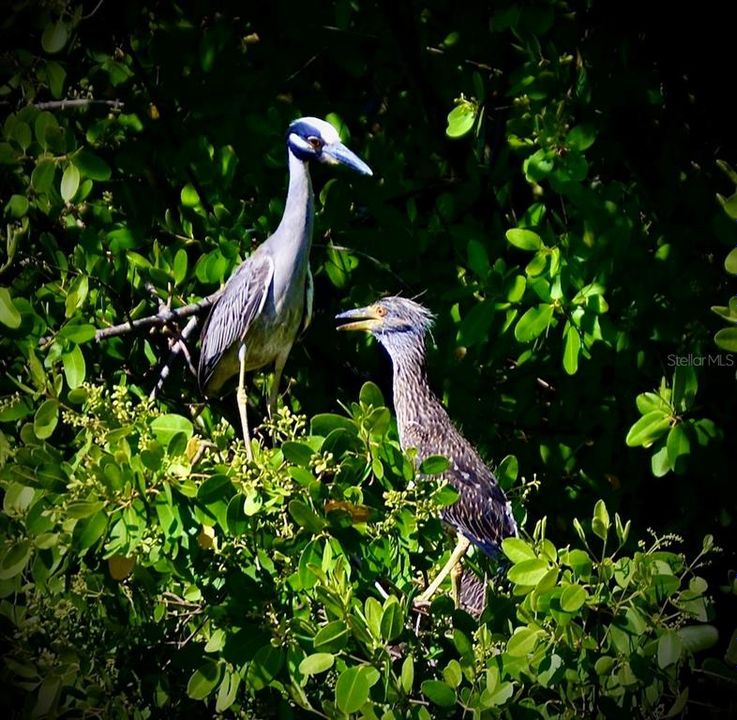 For Sale: $560,000 (3 beds, 2 baths, 2161 Square Feet)