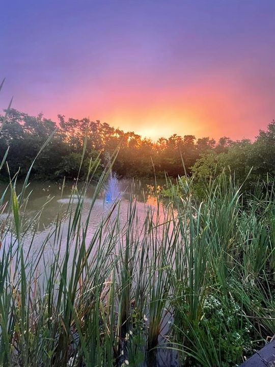For Sale: $560,000 (3 beds, 2 baths, 2161 Square Feet)
