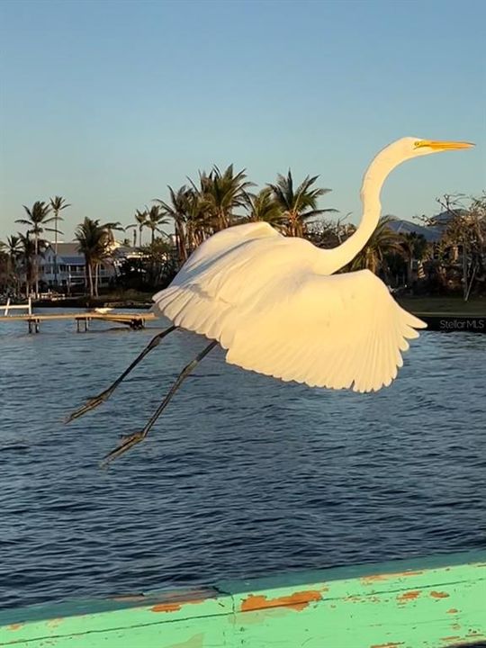 For Sale: $560,000 (3 beds, 2 baths, 2161 Square Feet)