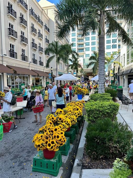 For Sale: $795,000 (3 beds, 3 baths, 1562 Square Feet)