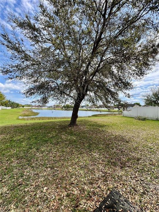 For Rent: $2,100 (3 beds, 2 baths, 2000 Square Feet)