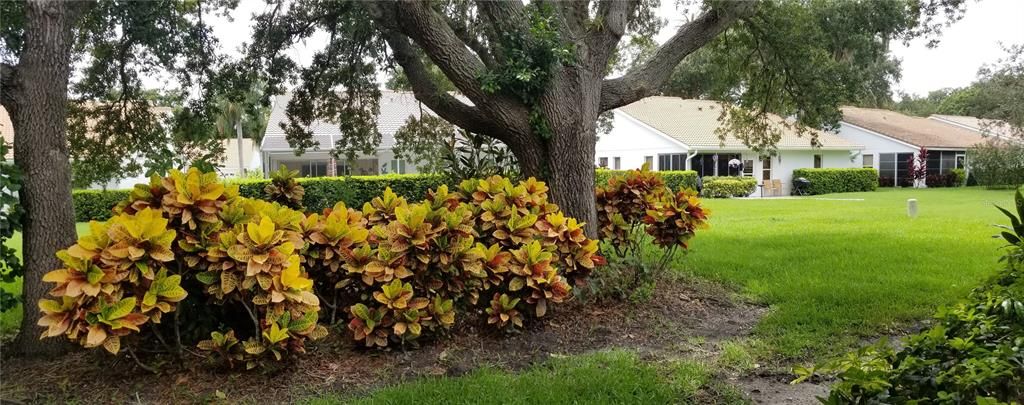 For Rent: $2,895 (3 beds, 2 baths, 1919 Square Feet)