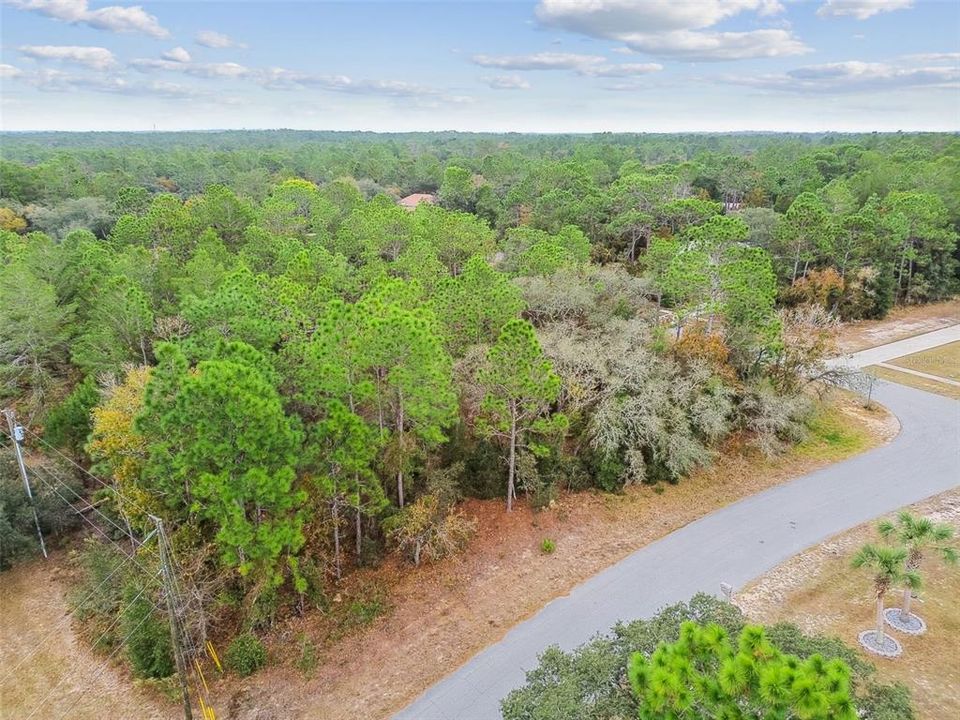 待售: $105,000 (1.54 acres)