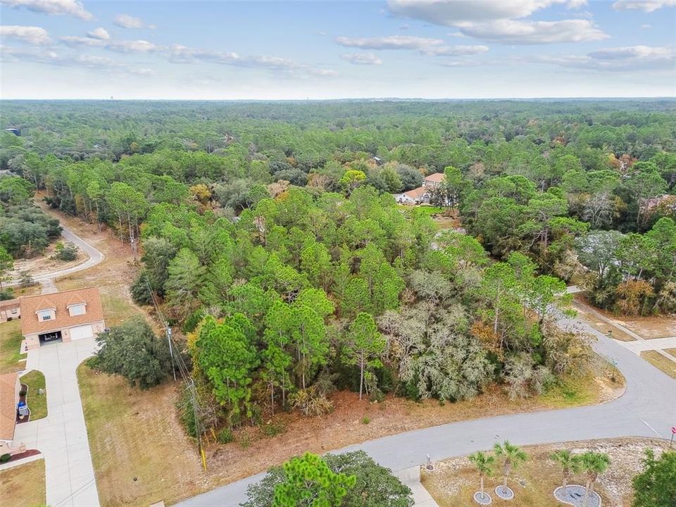 待售: $105,000 (1.54 acres)