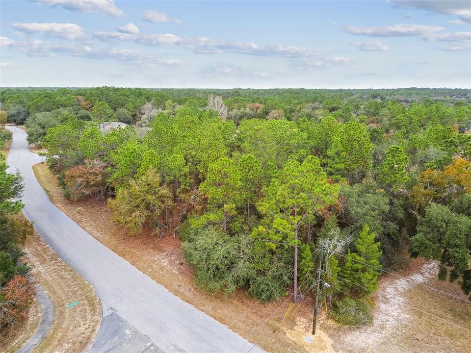 待售: $105,000 (1.54 acres)