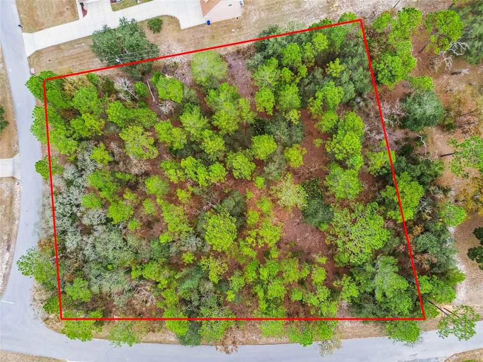 待售: $105,000 (1.54 acres)