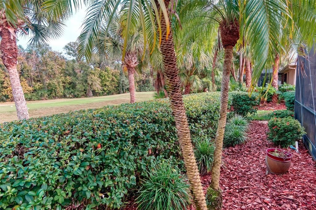 For Sale: $390,390 (2 beds, 2 baths, 2078 Square Feet)