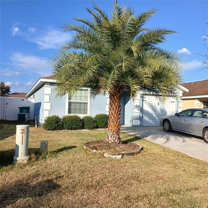 For Sale: $269,000 (3 beds, 2 baths, 1426 Square Feet)