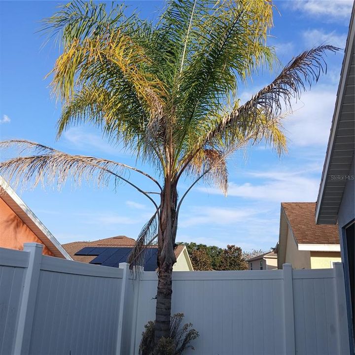 For Sale: $269,000 (3 beds, 2 baths, 1426 Square Feet)