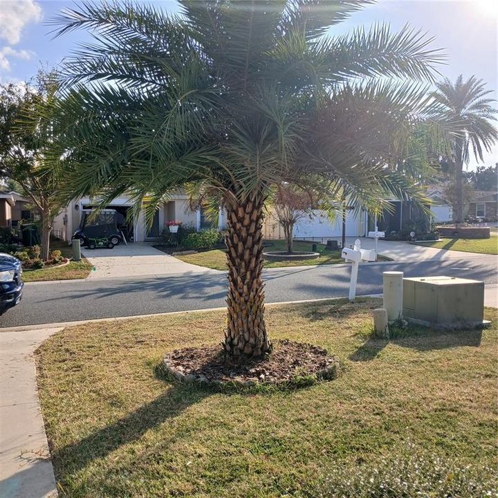 For Sale: $269,000 (3 beds, 2 baths, 1426 Square Feet)