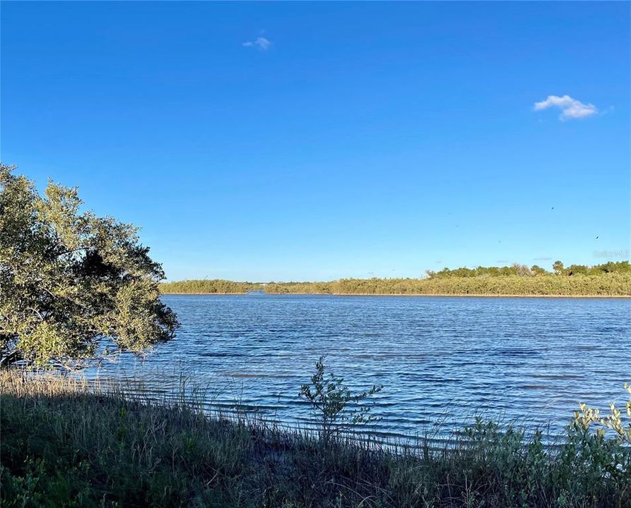 For Sale: $440,000 (0.14 acres)