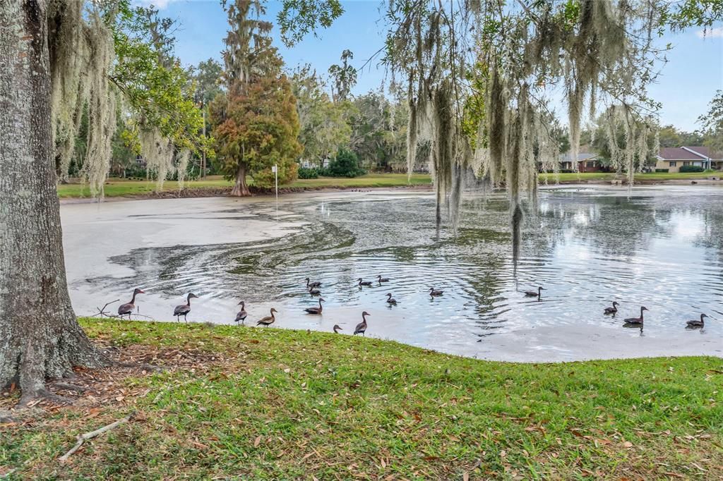 For Sale: $499,900 (5 beds, 3 baths, 3333 Square Feet)