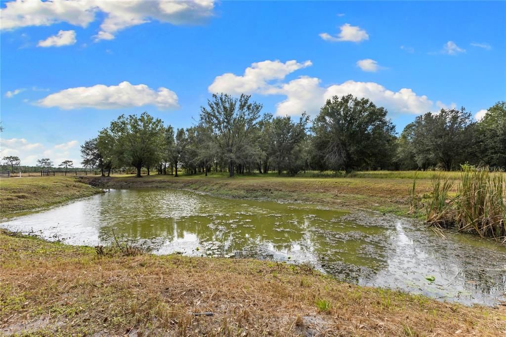 For Sale: $1,700,000 (4 beds, 4 baths, 3591 Square Feet)