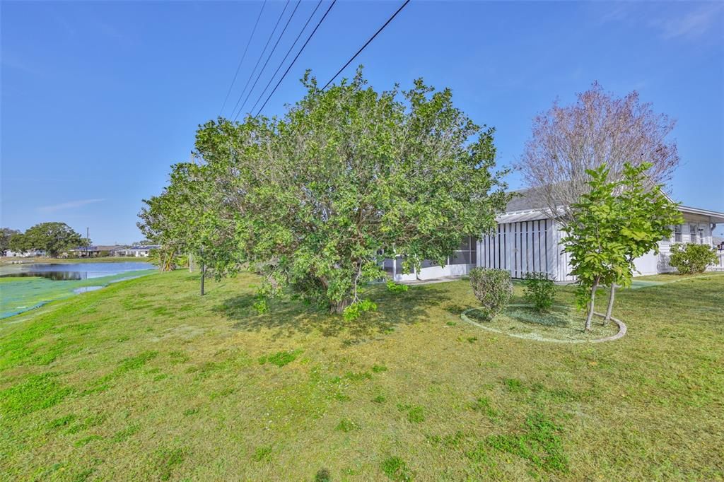 En Venta: $199,000 (2 camas, 2 baños, 1650 Pies cuadrados)