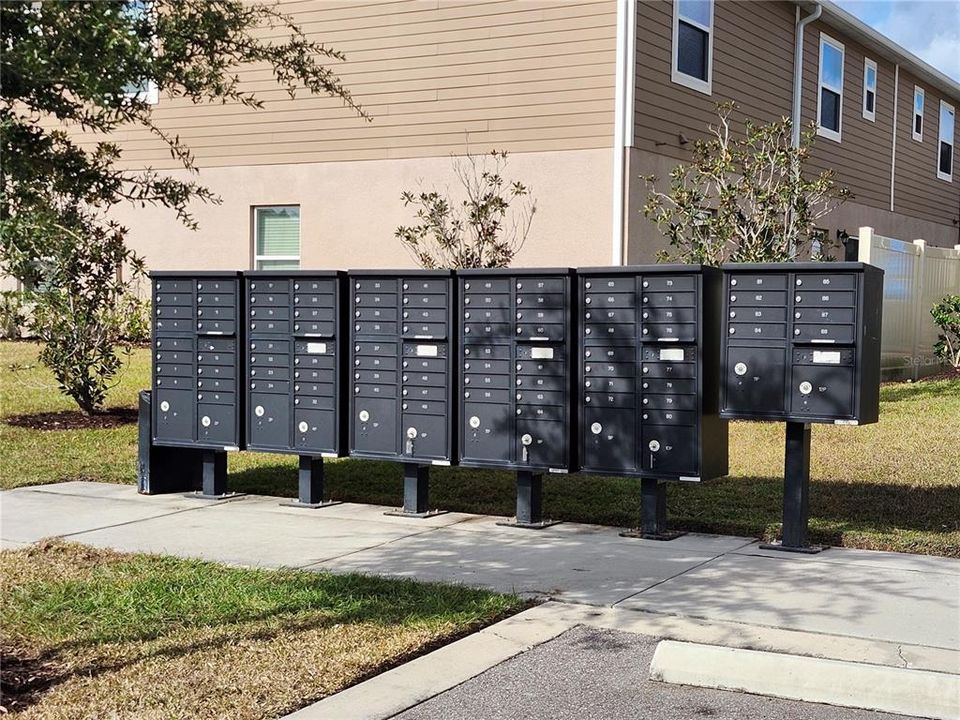 出租: $2,600 (3 贝兹, 2 浴室, 1758 平方英尺)