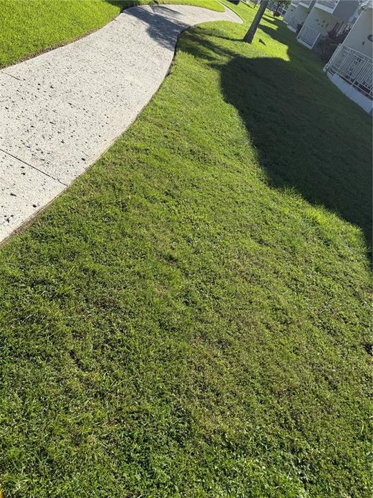 For Rent: $1,800 (3 beds, 2 baths, 1200 Square Feet)