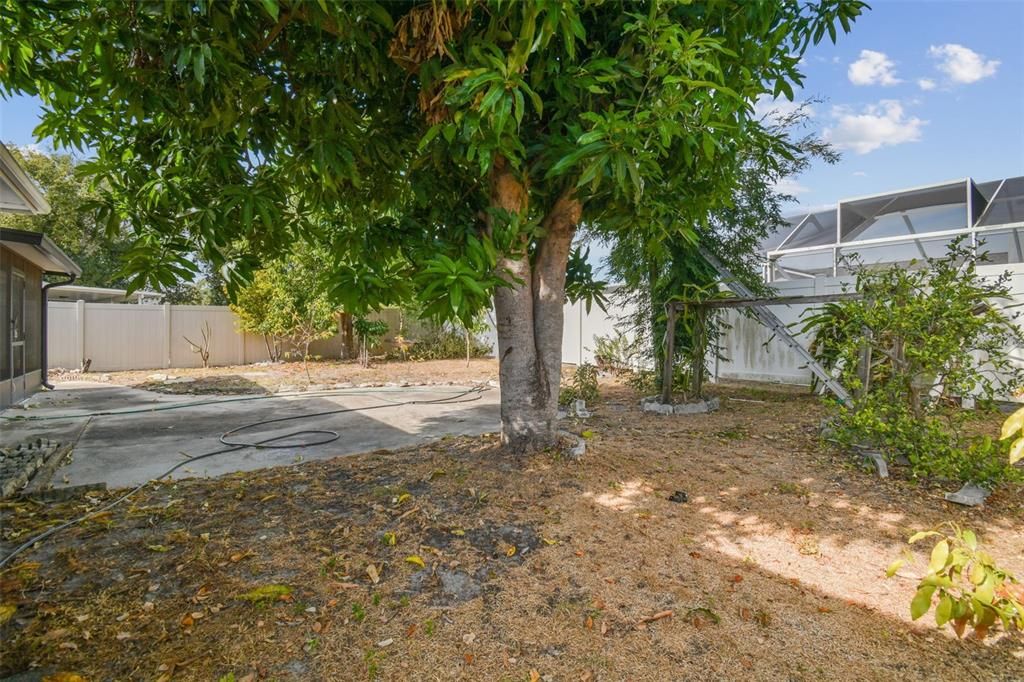 For Sale: $479,000 (3 beds, 2 baths, 1546 Square Feet)