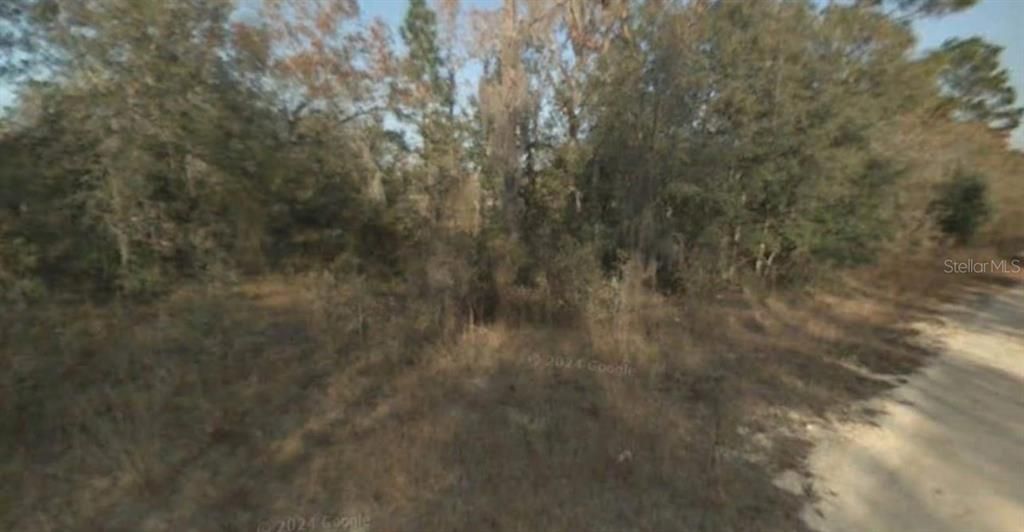 For Sale: $6,500 (0.24 acres)