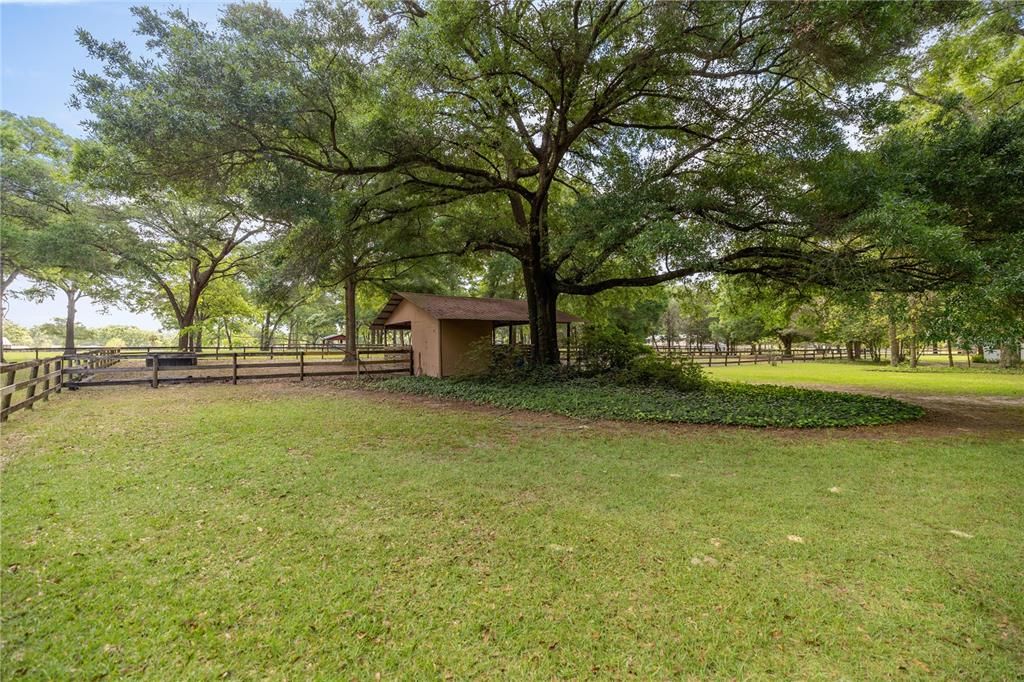 待售: $659,900 (5 贝兹, 3 浴室, 3512 平方英尺)