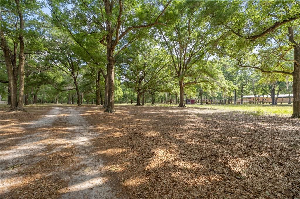 待售: $659,900 (5 贝兹, 3 浴室, 3512 平方英尺)