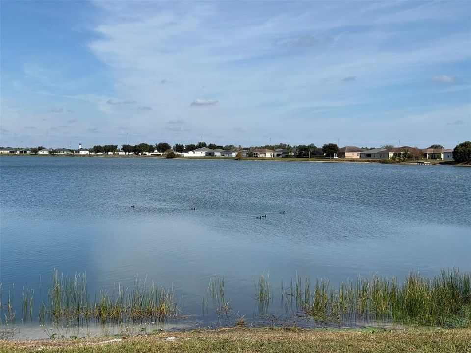 For Rent: $2,300 (4 beds, 2 baths, 1749 Square Feet)