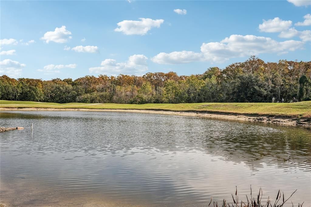 For Sale: $275,000 (2 beds, 2 baths, 1441 Square Feet)