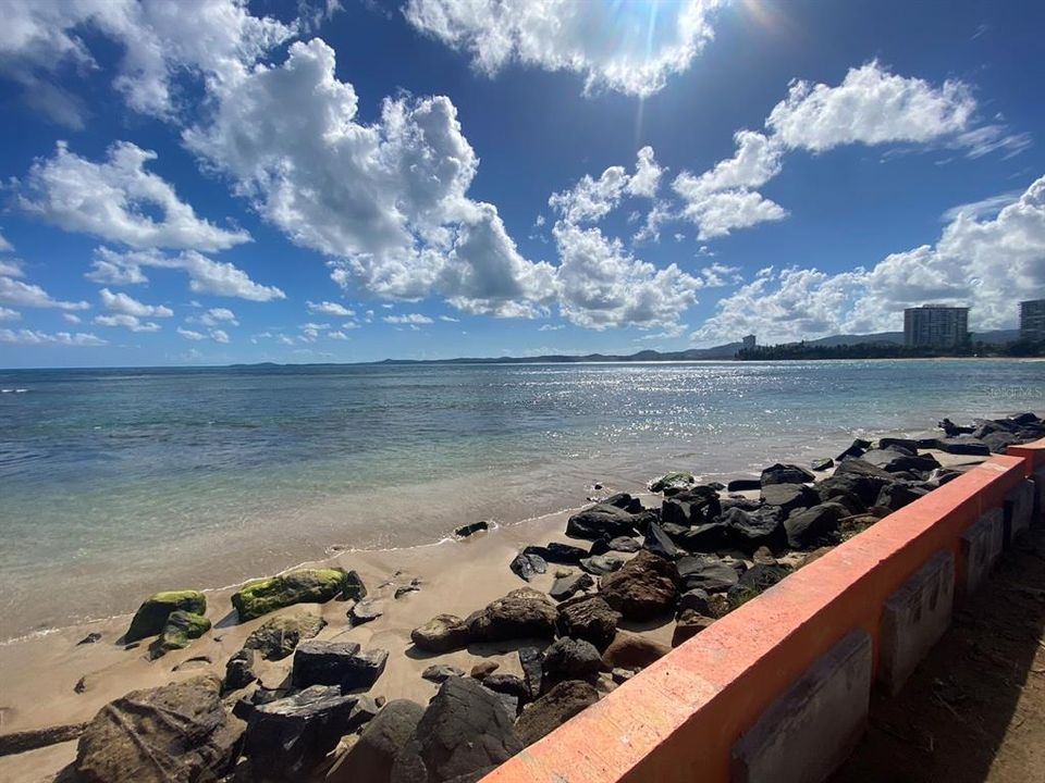 出租: $1,600 (1 贝兹, 1 浴室, 580 平方英尺)