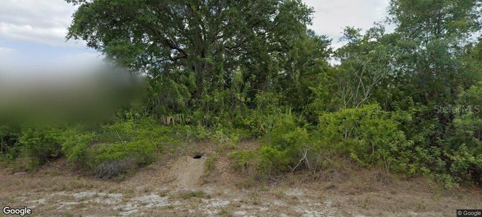 For Sale: $85,000 (0.23 acres)
