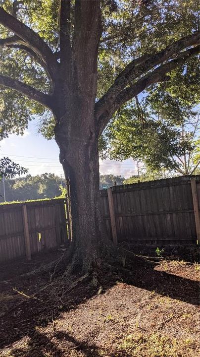 出租: $1,650 (2 贝兹, 2 浴室, 955 平方英尺)