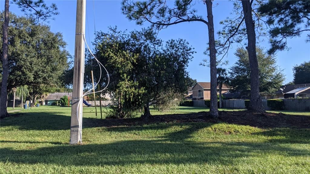 出租: $1,650 (2 贝兹, 2 浴室, 955 平方英尺)