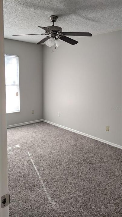 出租: $1,650 (2 贝兹, 2 浴室, 955 平方英尺)