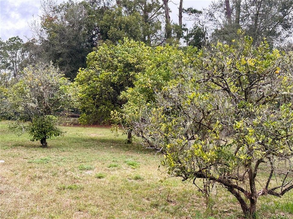 For Sale: $399,900 (3 beds, 2 baths, 1529 Square Feet)