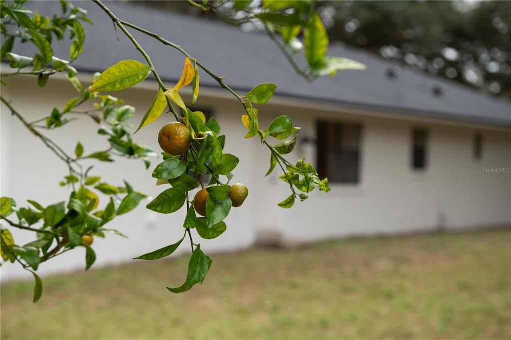 For Sale: $399,900 (3 beds, 2 baths, 1529 Square Feet)