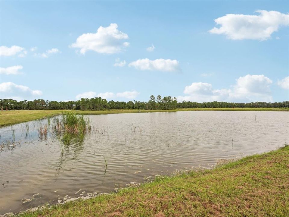 На продажу: $379,000 (3 спален, 2 ванн, 1491 Квадратных фут)