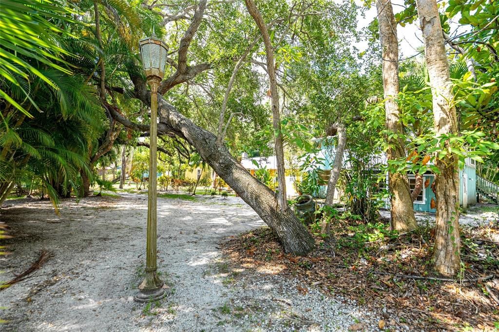 待售: $8,900,000 (13 贝兹, 11 浴室, 10312 平方英尺)